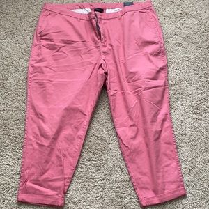 Lane Bryant Boyfriend pants size 26 dusty rose